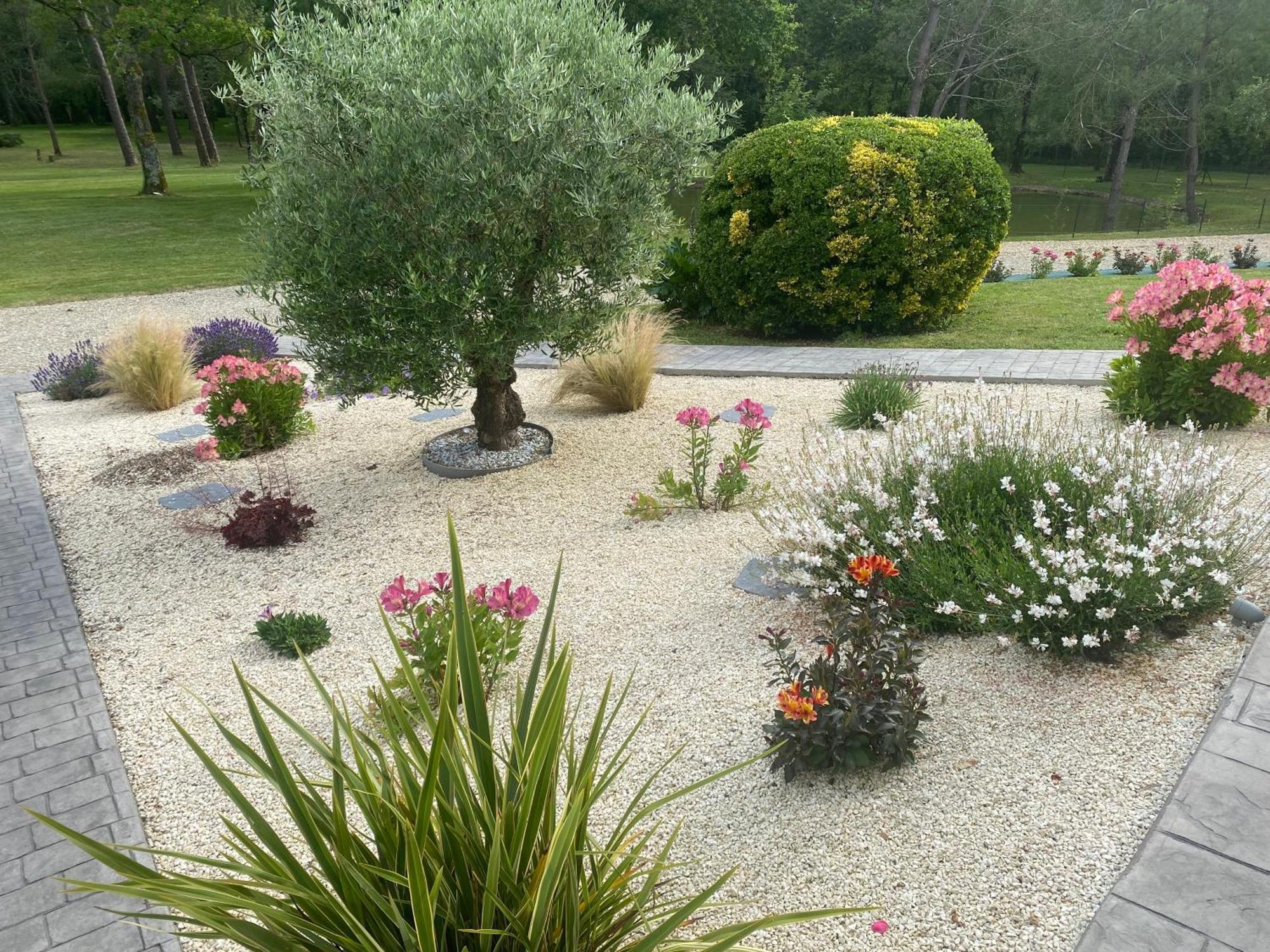Les Pins Perdus Bed & Breakfast Saint-Ciers-d'Abzac Luaran gambar