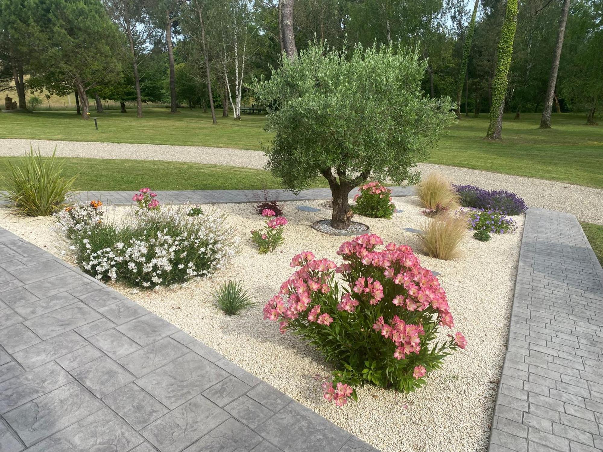 Les Pins Perdus Bed & Breakfast Saint-Ciers-d'Abzac Luaran gambar